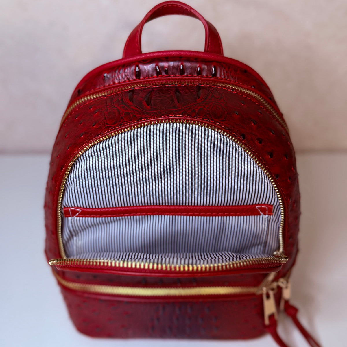 Mochila de Piel [R]